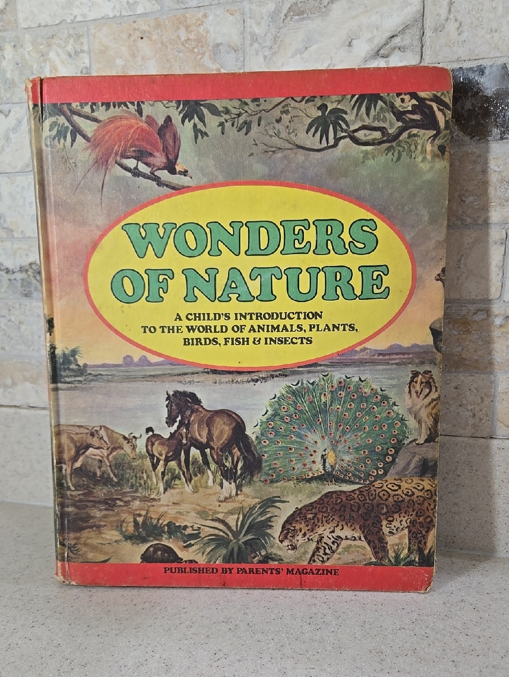 Vintage 1974 Parents Magazine Wonders Of Nature Illustrated Book